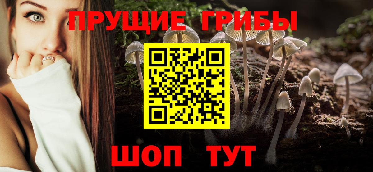 Псилоцибиновые грибы мицелий  Вход с VPN  закладка  Клин 